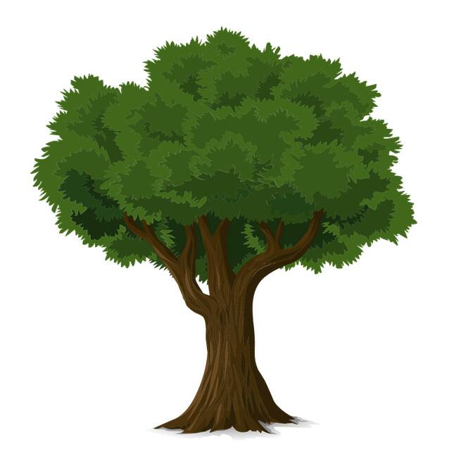 NEKED MEKKORA A KARBONLÁBNYOMOD? MOST MEGTUDHATOD!