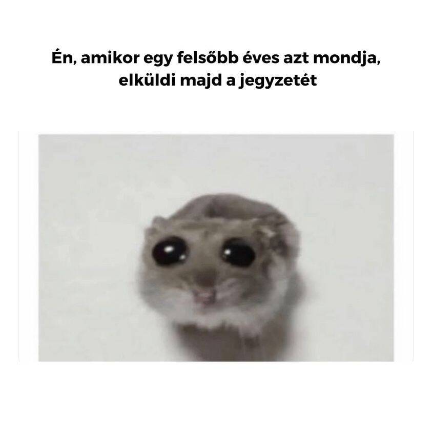 AMIKOR A FELSŐBB ÉVES ELKÜLDI A JEGYZETEIT