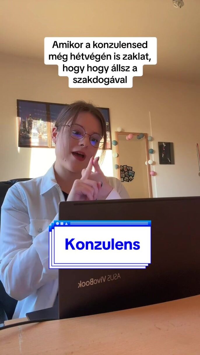 KONZULENS