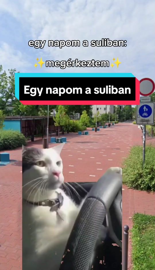 EGY NAP AZ EGYETEMEN