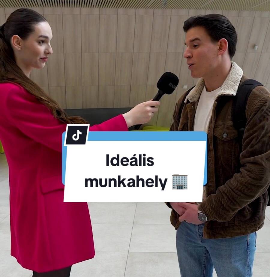IDEÁLIS MUNKAHELY