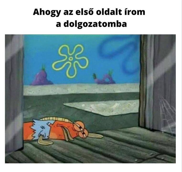 A DOLGOZAT ELSŐ OLDALA