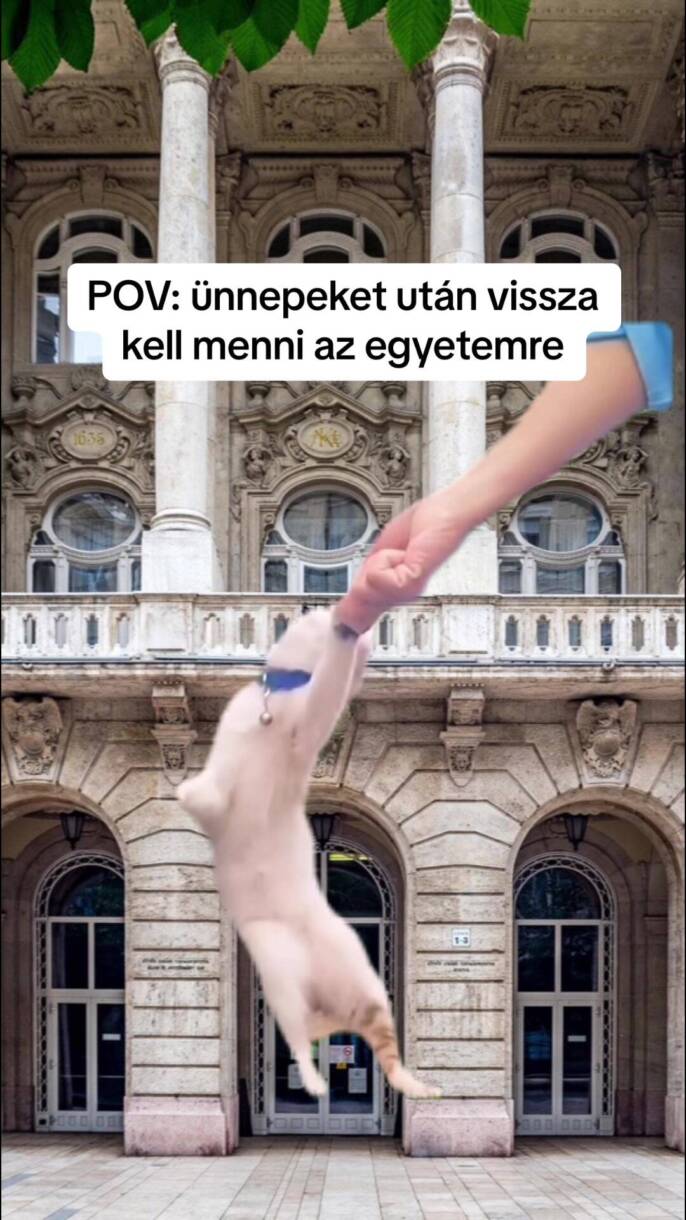 AMIKOR ÜNNEPEK UTÁN VISSZA KELL MENNI AZ EGYETEMRE