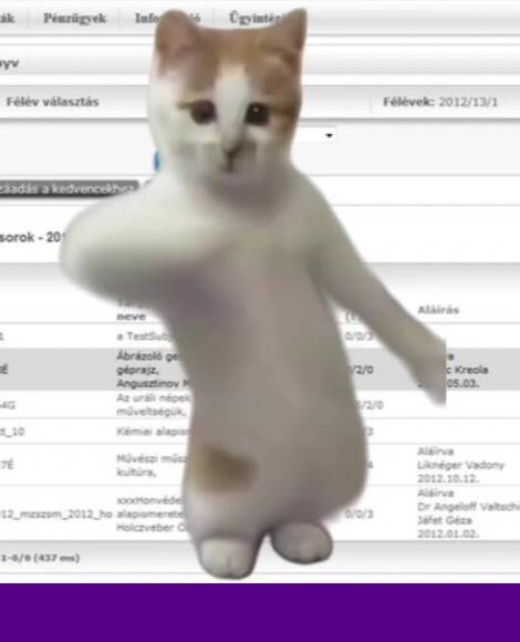 VÉGE A VIZSGAIDŐSZAKNAK