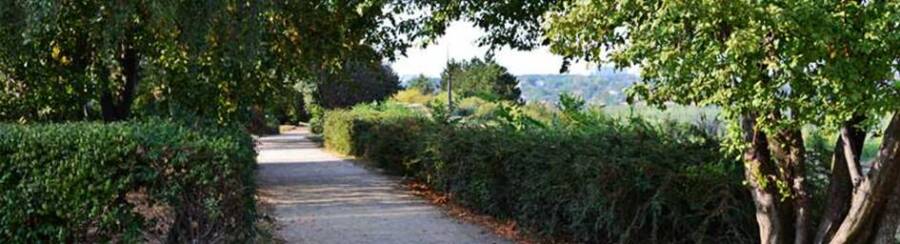 Duna-Parti Sétaút és Duna-híd: