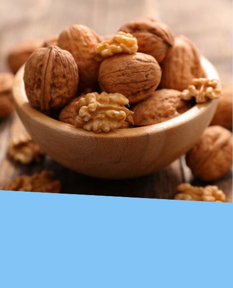 MIÉRT HASZNOS, HA DIÓT FOGYASZTUNK? MIÉRT HASZNOS, HA DIÓT FOGYASZTUNK? fotó